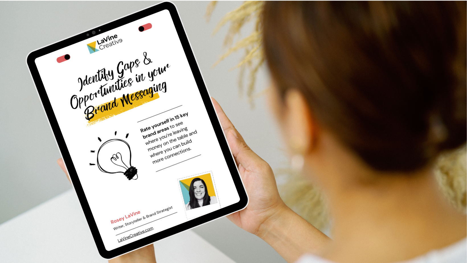 Brand Audit Downlaod